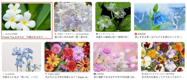 白い花をクリック