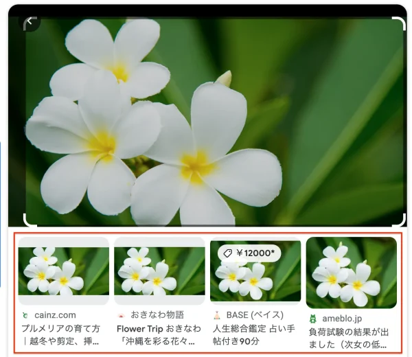 関連情報