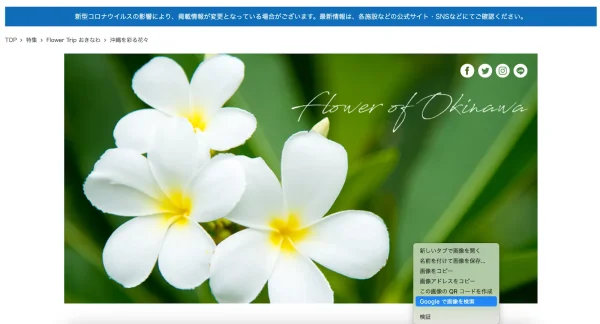 「Googleで画像を検索」をクリック