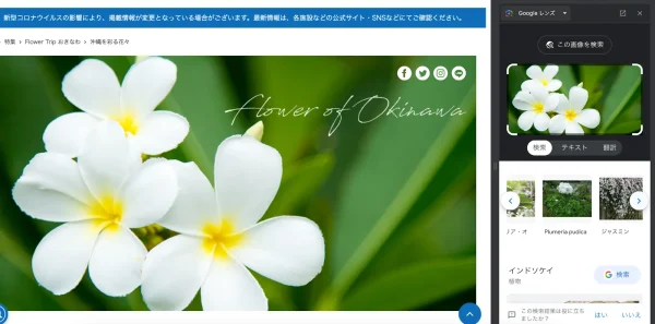 Google画像検索の結果