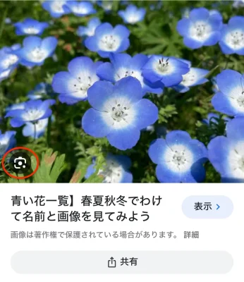 カメラマークをタップ