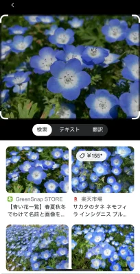 検索結果が表示される