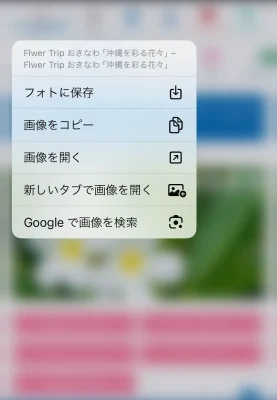 「Googleで画像を検索」をタップ