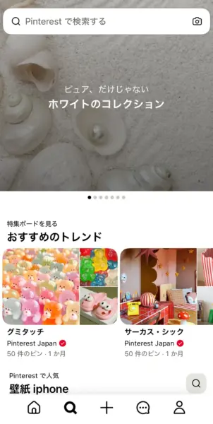 Pinterest レンズのスクリーンショット