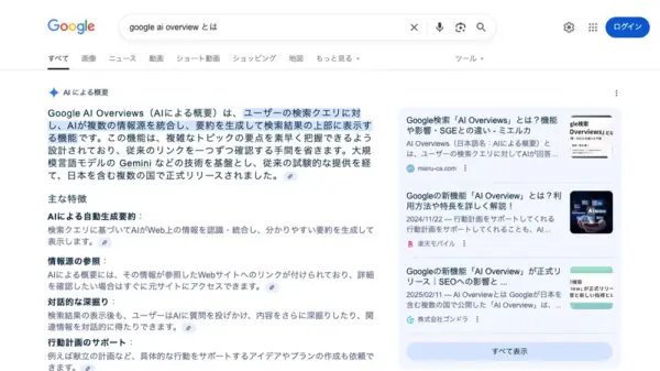 Google AI Overview