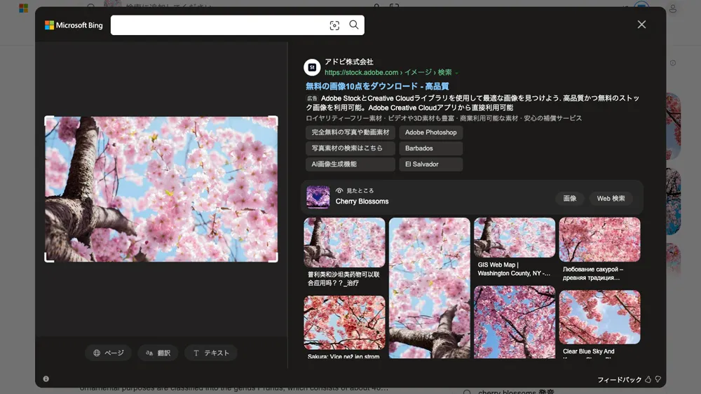 Bingビジュアル検索結果画面のスクリーンショット