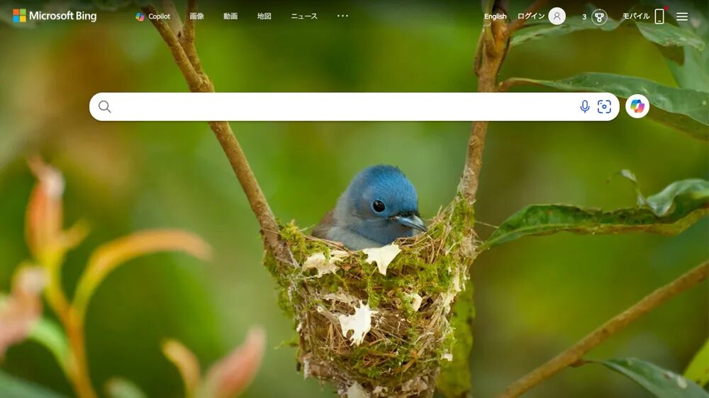 Bing