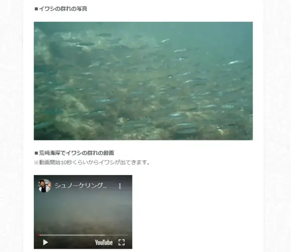 独自の写真を記事に入れる