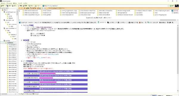 サイトリポートの生成 - Website Explorer