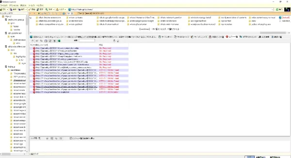 自社サイトのエラー状況の確認 - Website Explorer